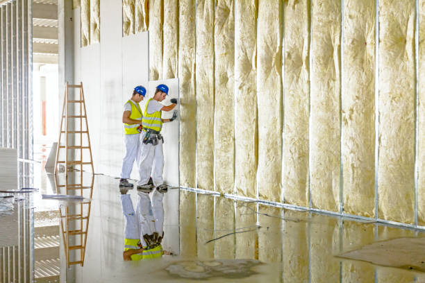 Best Insulation Maintenance and Repair in Rainbow, CA